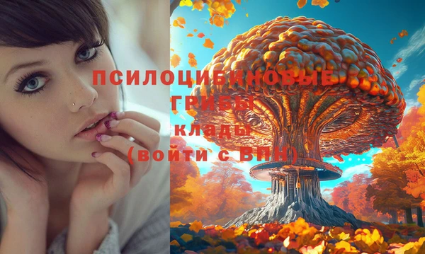 mdma Елабуга