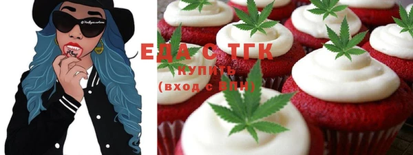 индика Аркадак