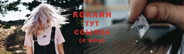 ешки Арсеньев