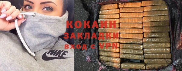 индика Аркадак