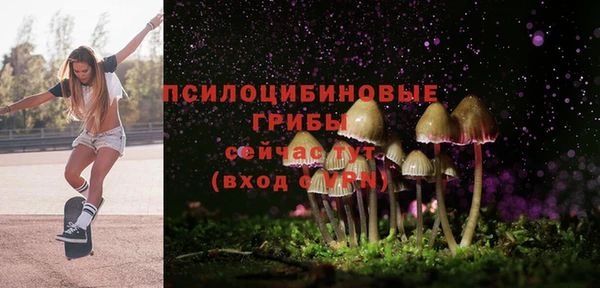 индика Аркадак