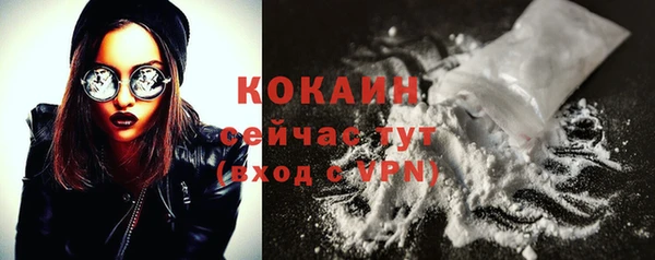 ешки Арсеньев